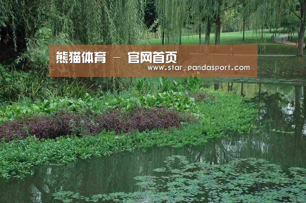 案例展示一(图1)