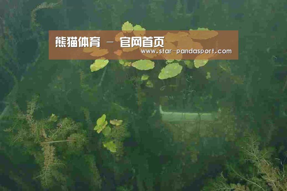 案例展示三