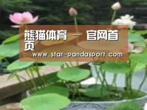 产品名称一