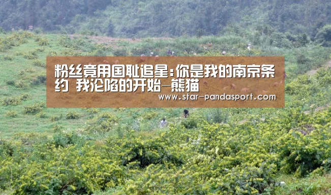 熊猫体育官网