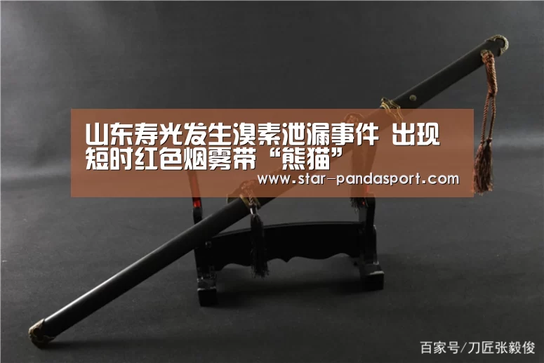 山东寿光发生溴素泄漏事件 出现短时红色烟雾带“熊猫”