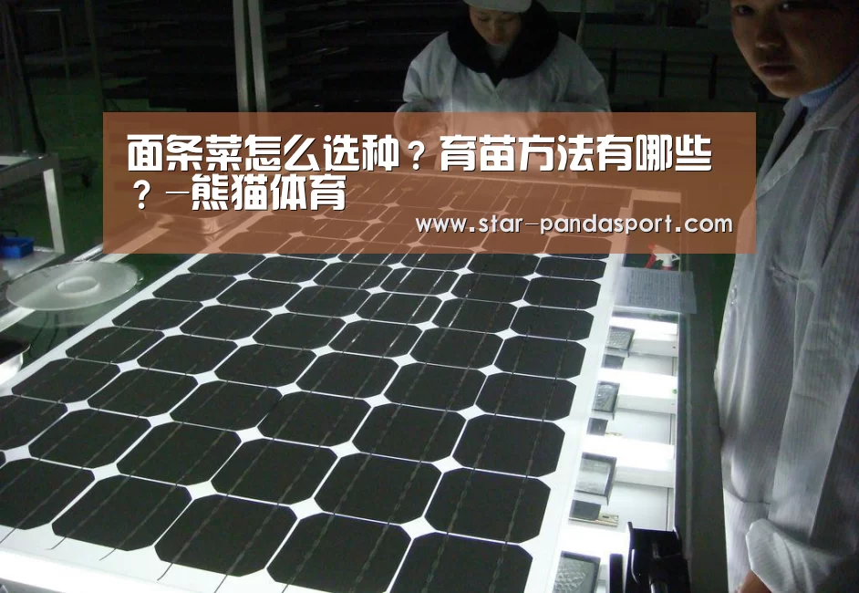 面条菜怎么选种?育苗方法有哪些?-熊猫体育(图3) 熊猫体育